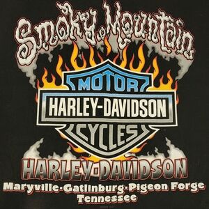 Harley-Davidson Black Tee with Fiery Graphics
